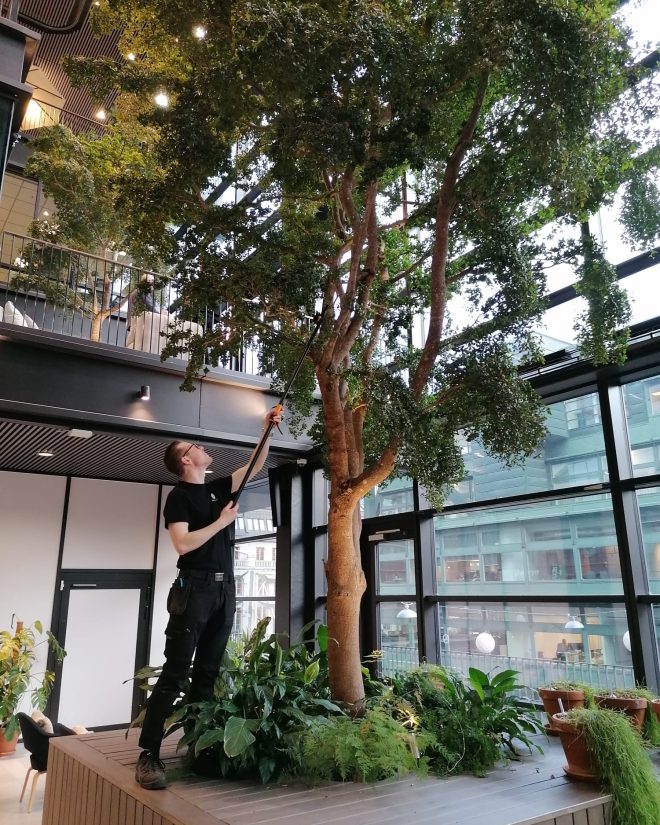 WhatsApp Image 2021-11-12 at 08.06.24